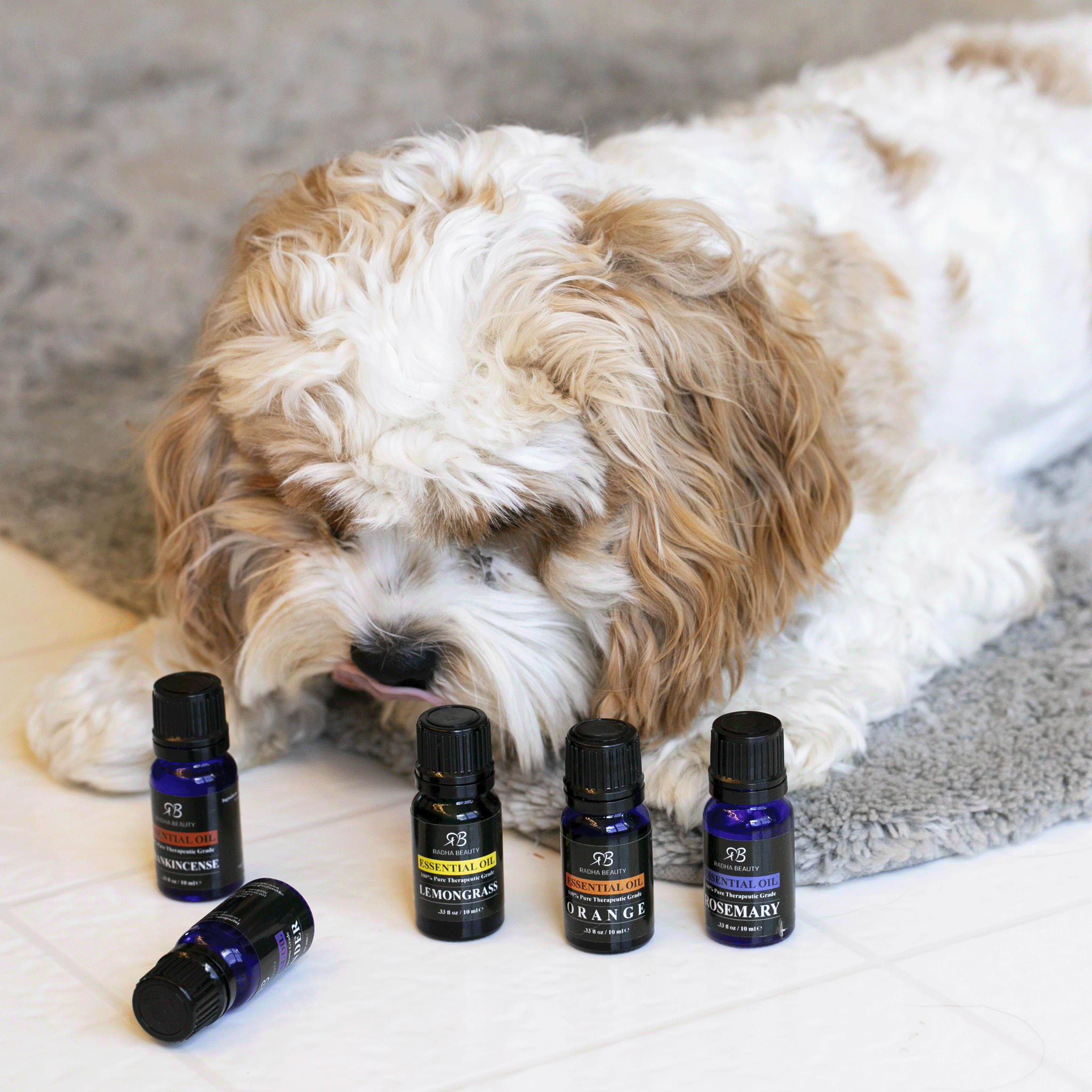 Essential Oil Diffusers and Your Pet